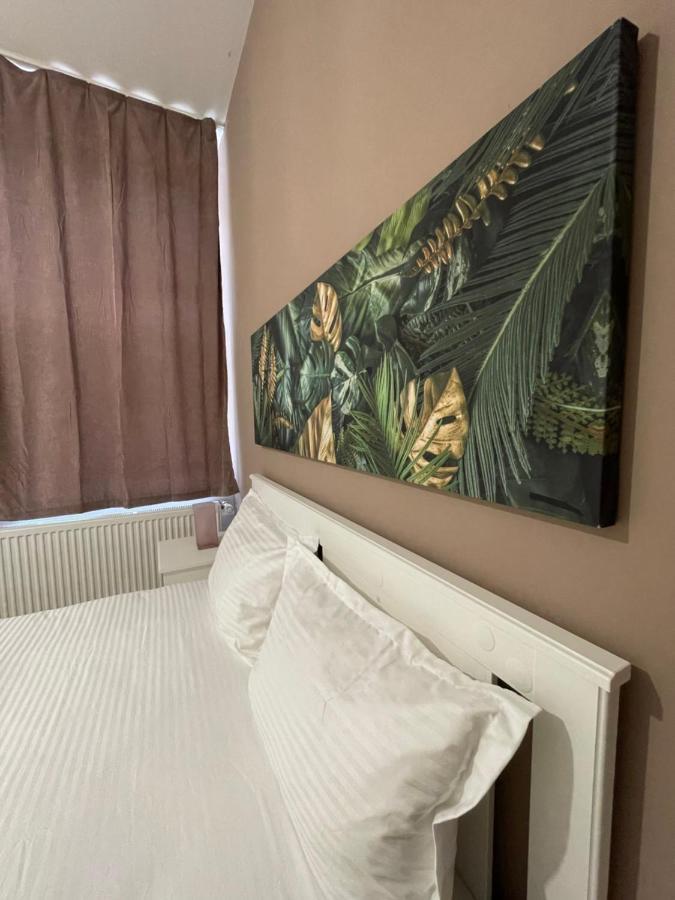 Schei In The Heart Of Apartament